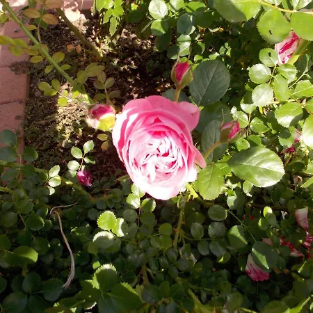 L'atelier Du Bleu Holiday home