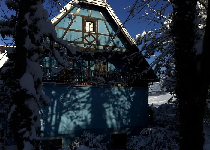 Semesterbostad L'atelier Du Bleu Willgottheim