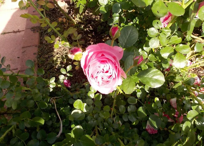 L'atelier Du Bleu 度假居